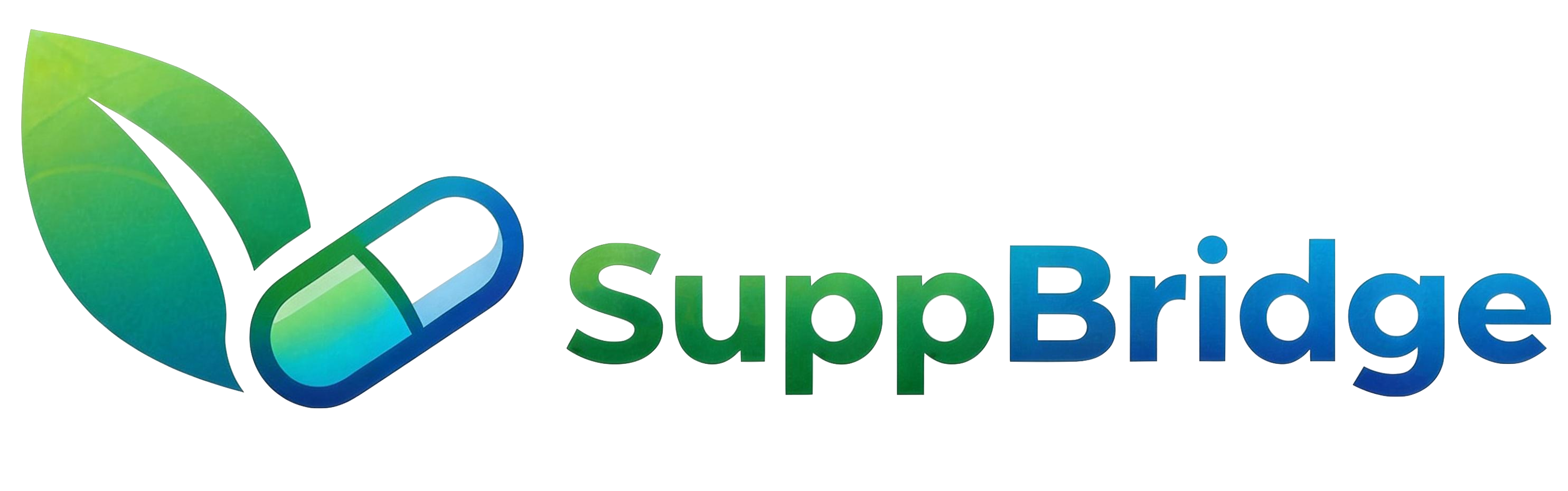 SuppBridge Logo